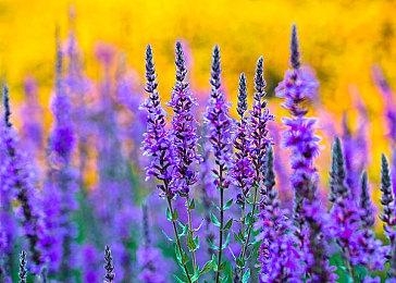 《匿名代码》游戏系统介绍影片 Steam版9月9日发售